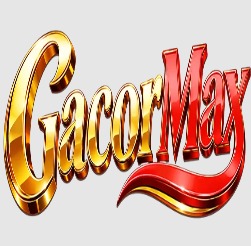 Lgogacormaxwin com